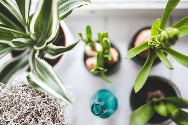 18 Easy Ways to Create a Healthier, Greener Home This Weekend | Marnie's Notebook